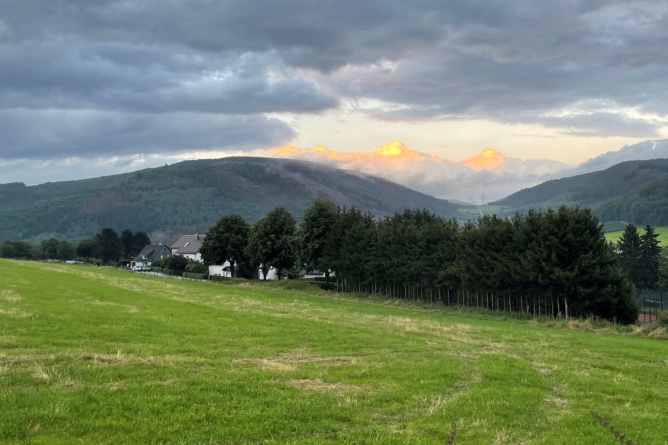 Homertknolle vor Alpenpanorama