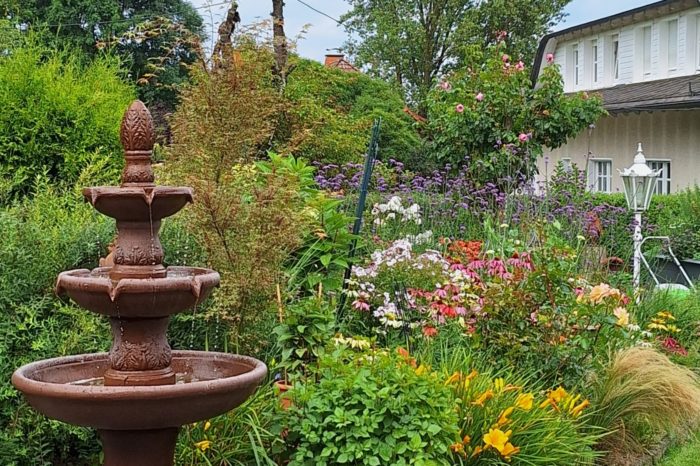 Liebhabergarten öffnet am 11.08.2024